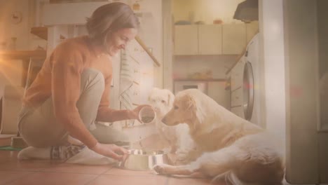 Animación-De-Una-Mujer-Caucásica-Feliz-Alimentando-Perros-Sobre-Puntos-De-Luz