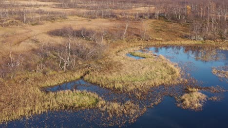 aerial view of the autumn marshlands in northern norway