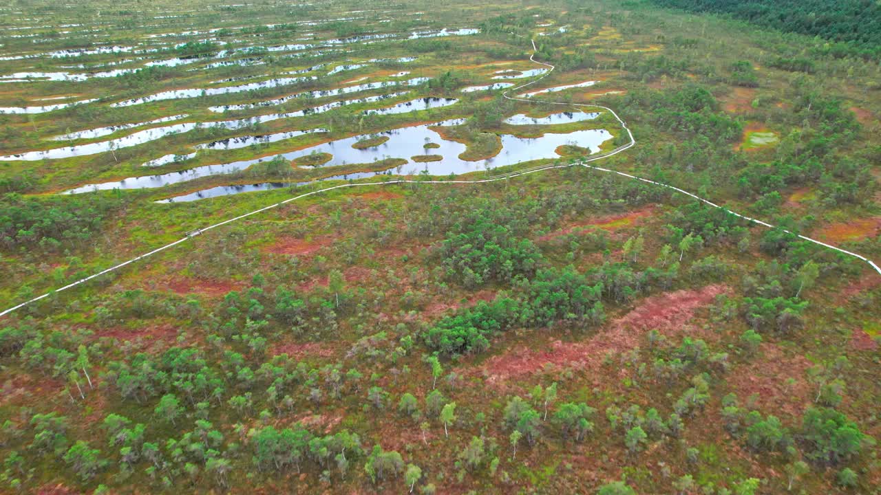 Explore the vast beauty of Kemeri swamp from an aerial perspective