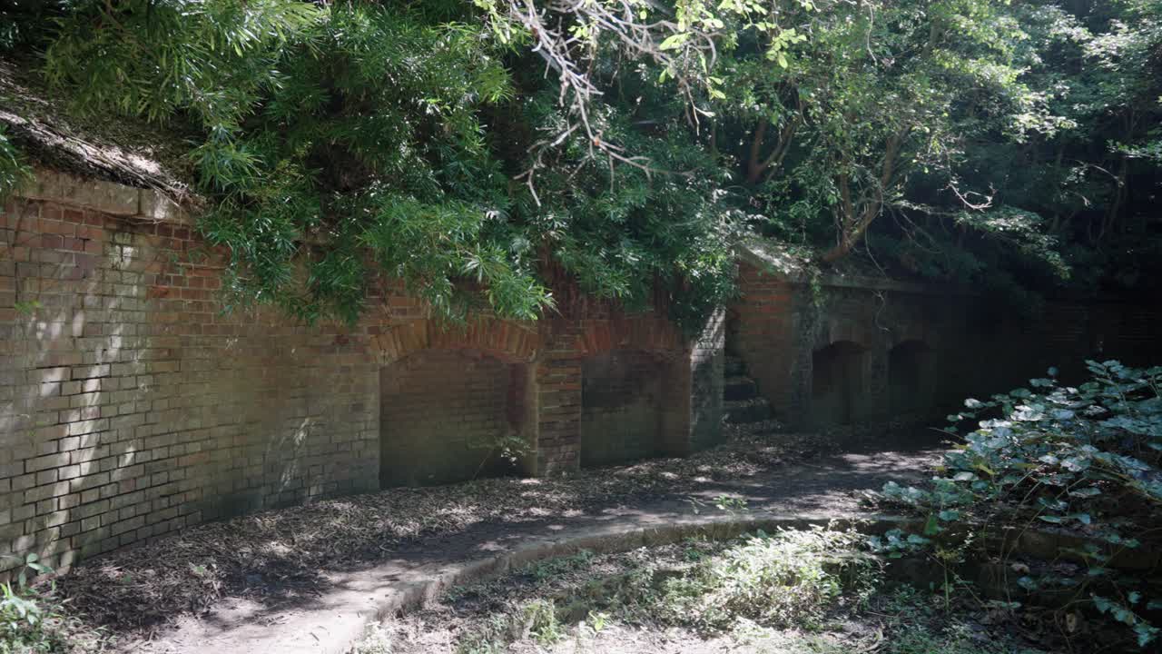 Military Fort, Abandoned and left to nature on Tomogashima, Japan