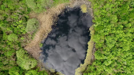 Aerial-drone-shot-over-Jungle-tropical-rain-forest-with-green-colors