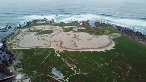 aerial of the thousands of seabirds of the cape gannet colony on bird island in algoa bay, south africa