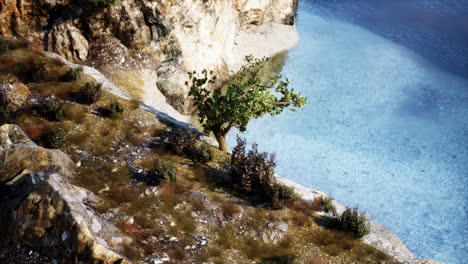rocky cliffside with a small tree and river