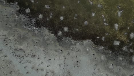 Un-Vuelo-Sobre-Las-Orillas-Del-Lago-Taarbin-En-Australia-Occidental-Muestra-La-Salinización.