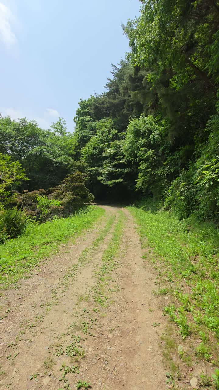 Unpaved dirt trail lined with grass and surrounded by dense green trees under bright sunlight at Maninsan Ecological Park - Camera moves steadily forward, driver's pov, vertical