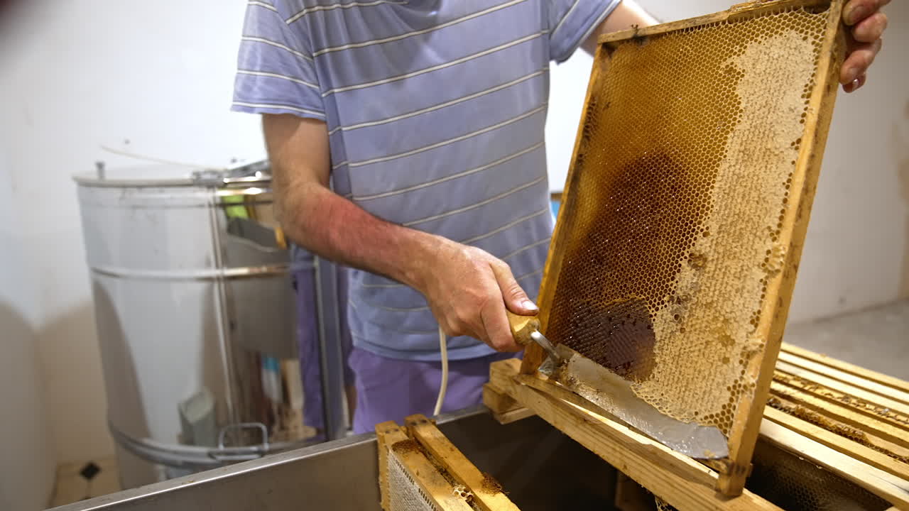 Beekeeper opens the tops from honeycomb cells. Man uses special tool for opening sealed ells. Close up.