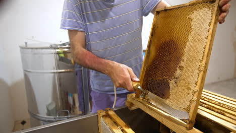 beekeeper opens the tops from honeycomb cells. man uses special tool for opening sealed ells. close up.
