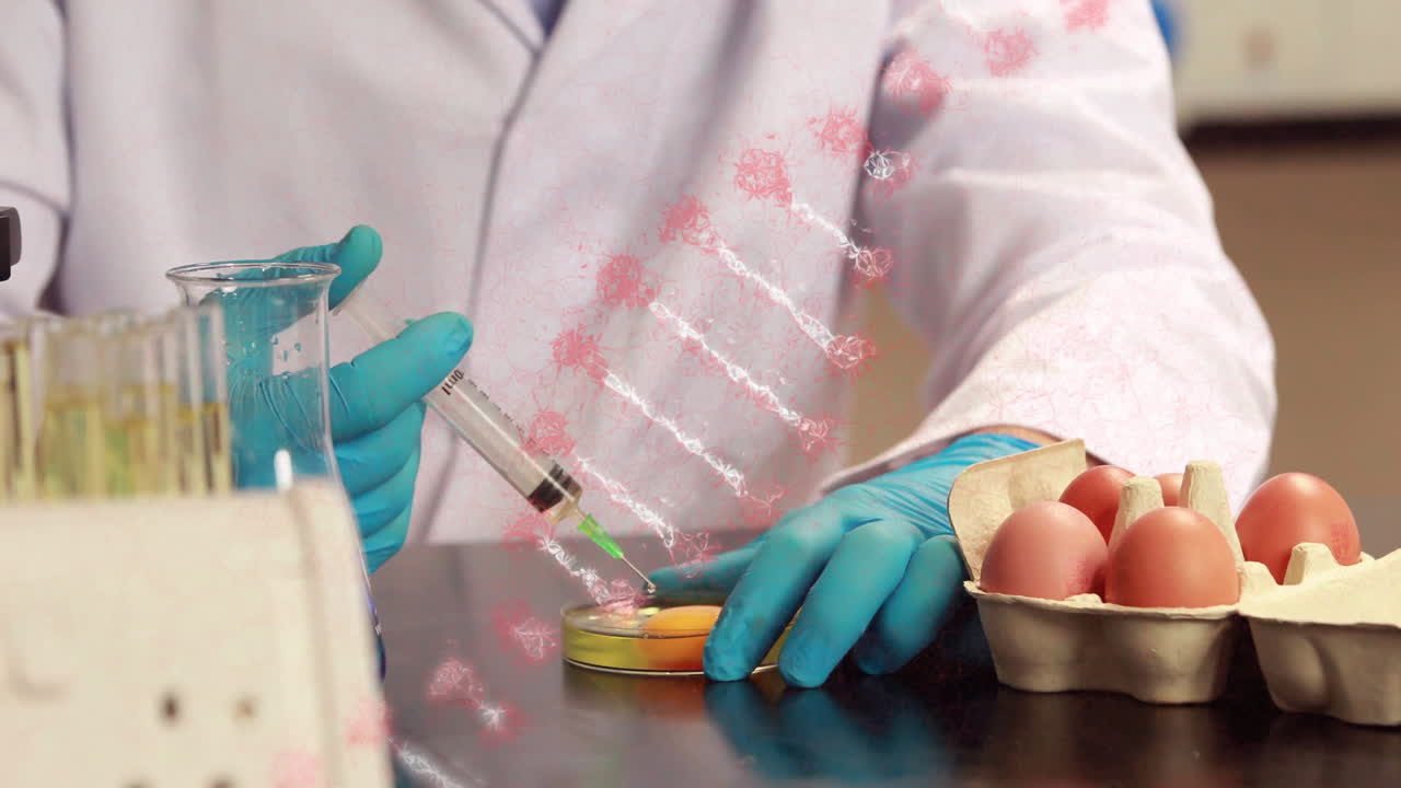 animación de la cadena de adn que gira sobre la sección media del huevo de prueba del científico