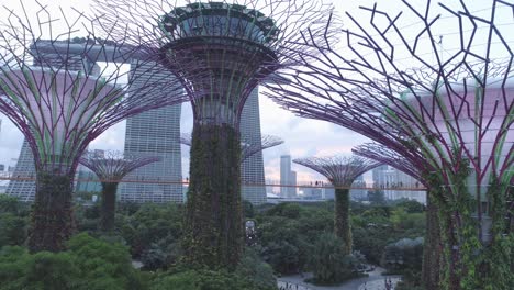 gardens by the bay supertree grove at sunset