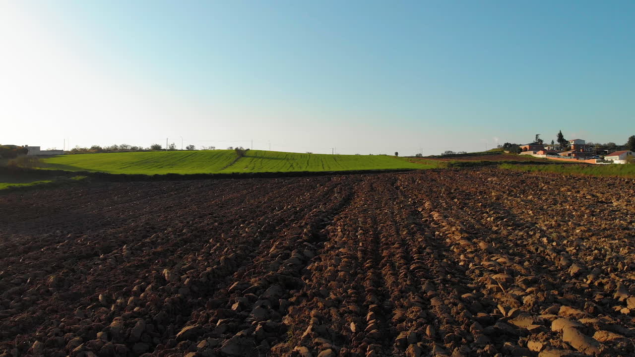 volando sobre el campo verde