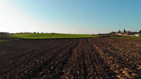 volando sobre el campo verde