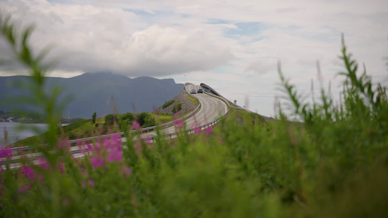 View of famous Atlantic Ocean Road from behind some vegetation, Norway