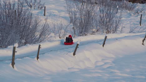 tracking shot of young boy in sled sledging down snowy road in winter during sunny day