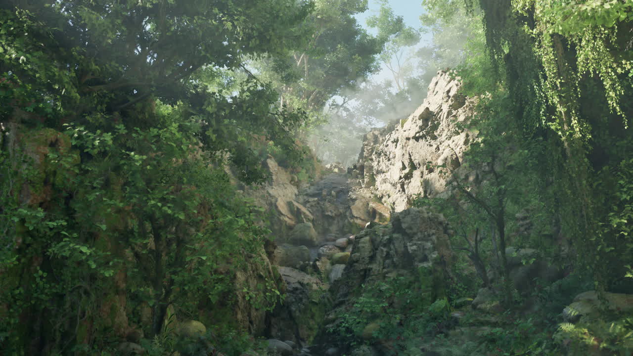 un camino estrecho a través de un bosque verde exuberante