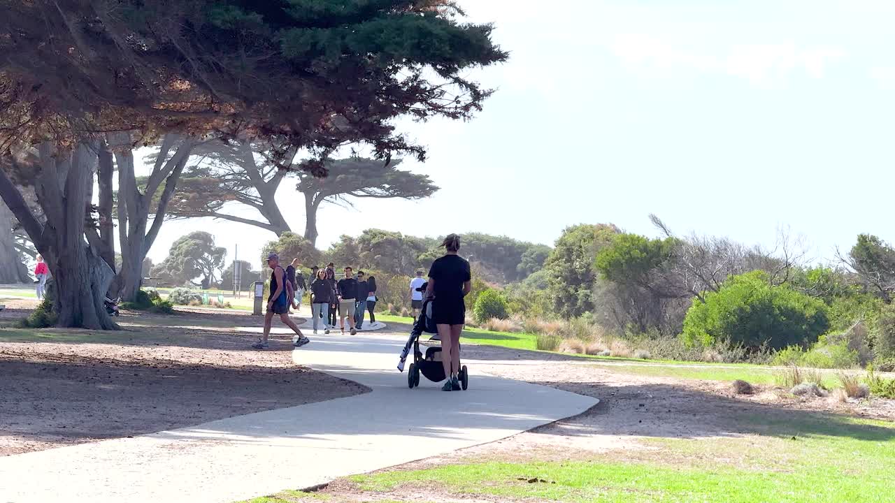 A person walks with a stroller on a sunny path by the ocean, surrounded by trees and greenery