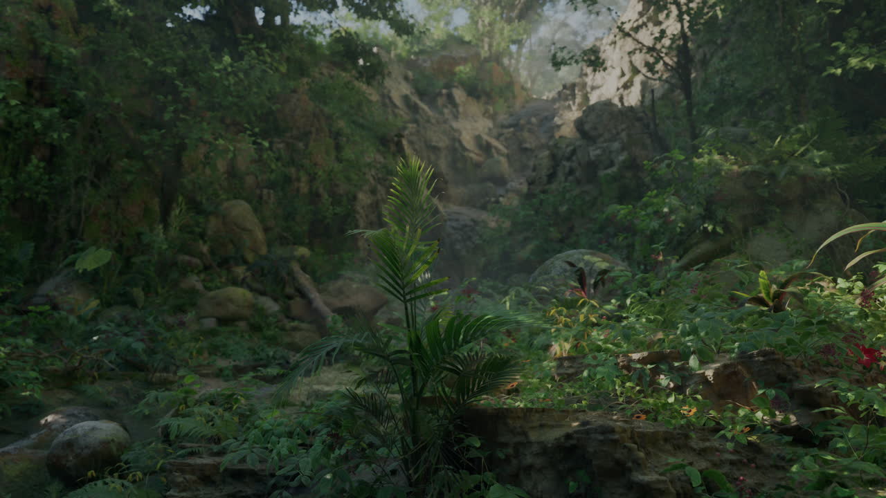 열대 우림 경로