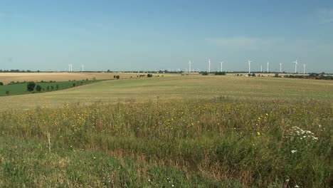 pan shot over fields in magdeburger boerde, germany