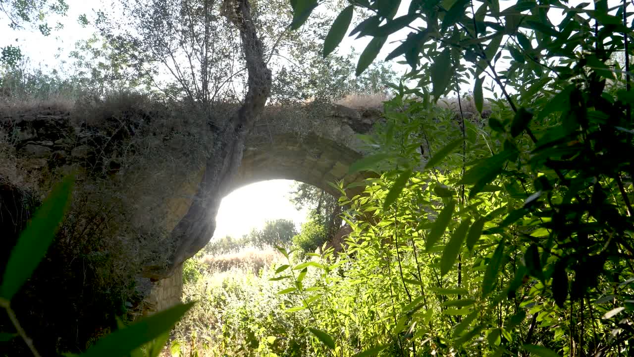 Explore the beauty of a historic stone bridge surrounded by vibrant plants and trees. This peaceful spot in nature offers a glimpse into the past and scenic views