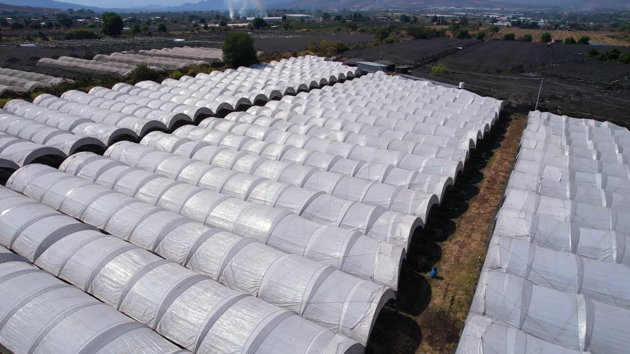smooth aerial glides over blueberry plantation to reveal mountains in Michoac&aacute;n Mexico