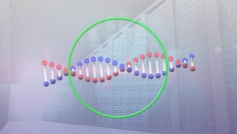 Animation-of-dna-helix-in-green-circle-and-digital-hand-print-over-time-lapse-of-corridor