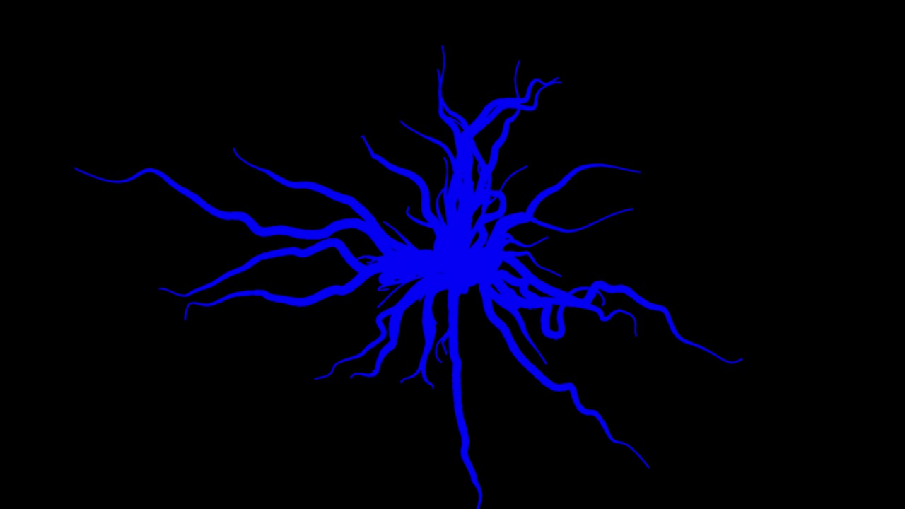 Abstract motion background with colorful blue curved lines spreading from the center of the black screen into all the directions. Animation. Futuristic and technological concept