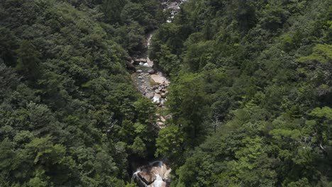 Mononoke-Forest-on-Yakushima-Island,-Aerial-tilt-reveal-of-waterfall,-Japan