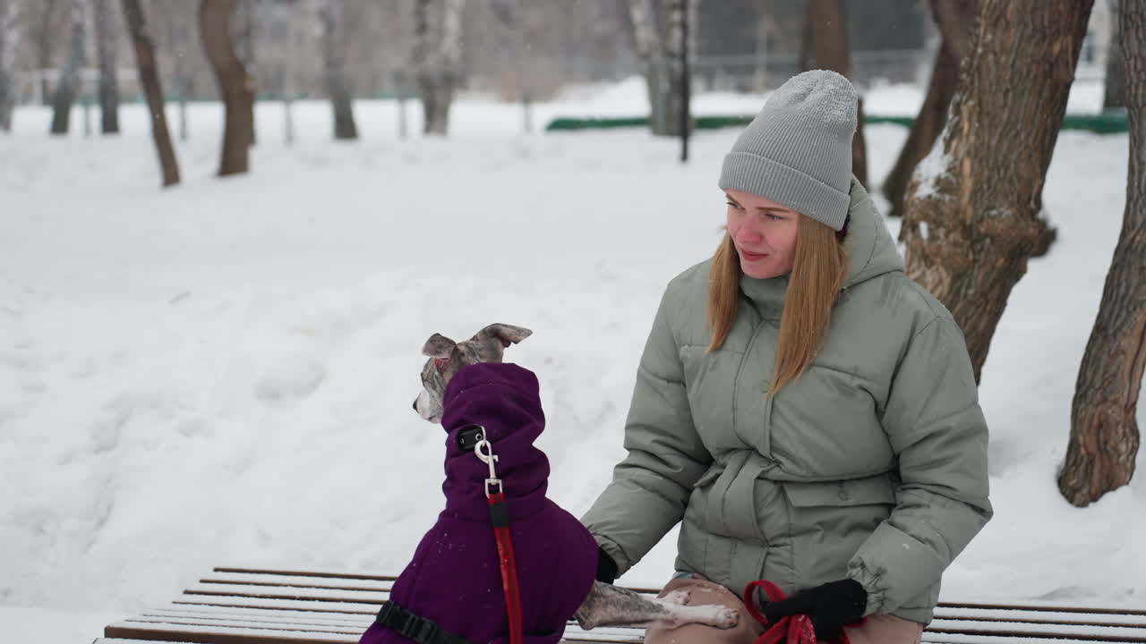 Woman in gray beanie and green jacket sits on bench petting affectionate whippet in purple coat standing on hind legs, red leash in hand, snowy park setting with calm winter mood and soft snow around