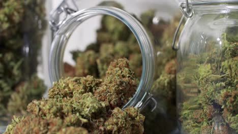 tiro de muñeca de flores de cannabis cosechadas en frascos frente a un fondo blanco