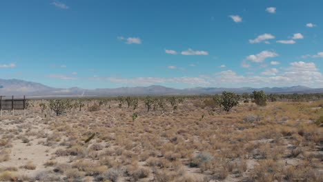 Una-Vista-Aérea-Rápida,-Baja-Y-Hacia-Atrás-Del-Desierto-Antes-De-Salir-De-California-Y-Entrar-En-Nevada