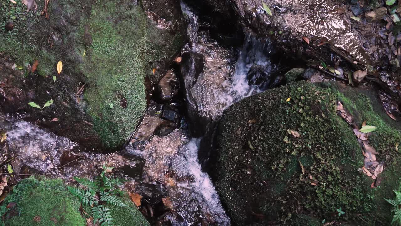 Freshwater Creek Through Mossy Rocks In Blue Mountains National Park, New South Wales, Australia. High Angle Shot