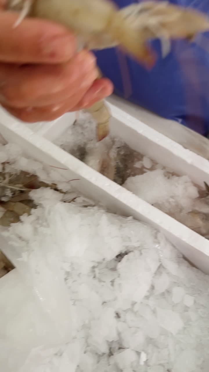 Gamberetti freschi sul ghiaccio