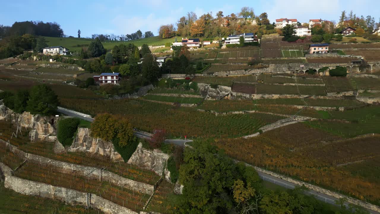 Pull out drone shot of Lavaux terraced vineyards in Switzerland