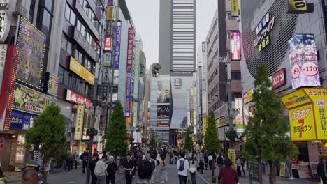 vibrant nightlife in shinjuku, tokyo