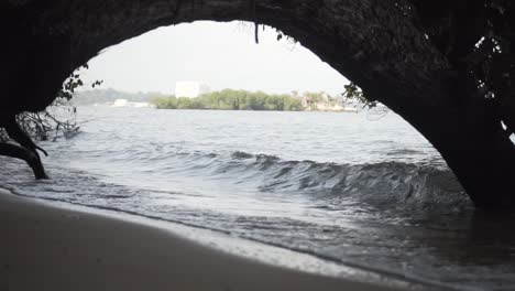 waves crashing on beach under the fallen tree with island on background
