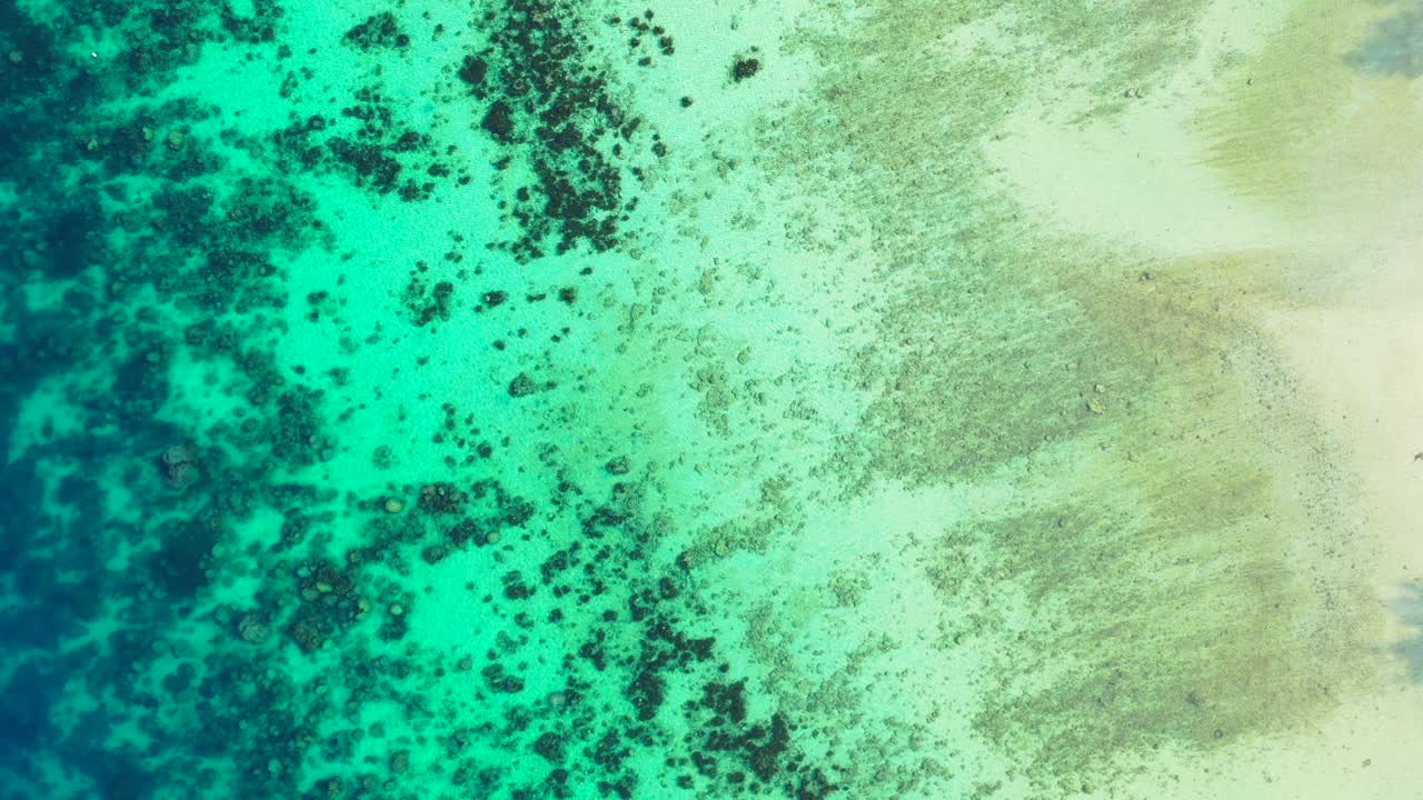 gran barrera de arrecifes de coral mar océano pacífico queensland australia