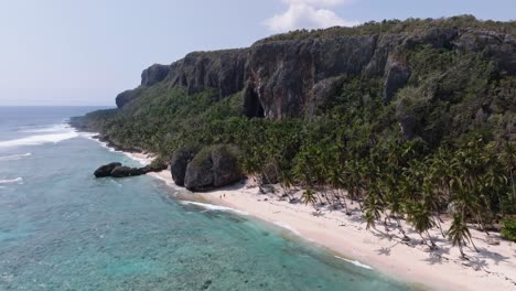 Sheer-Cliffs-With-Lush-Tropical-Forest-At-The-Foreshore-Of-Playa-Fronton-In-Las-Galeras,-Samana,-The-Dominican-Republic