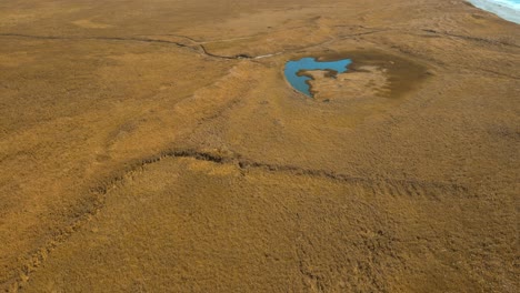 aerial view of a marsh in a dry grassy field