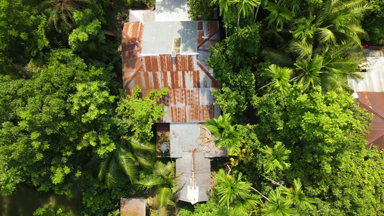 Old rusty tin-roof house surrounded by dense tropical forest trees in rural area of sundarban region in Bangladesh