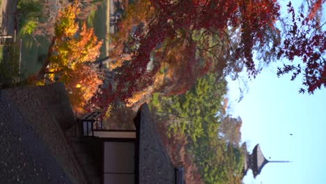 vertical cinematic view of japanese landscape garden with falling leaves and pagoda