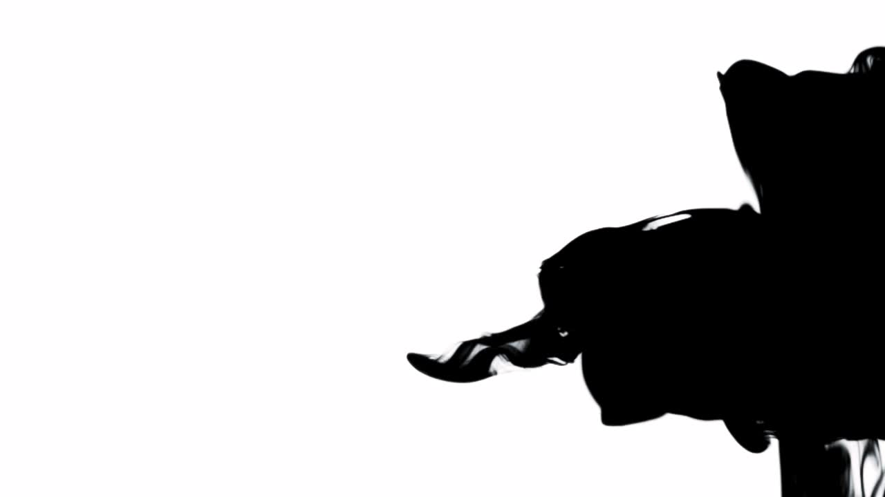 색에 검은 잉크를 회전시키는 소용돌이. 놀라운 추상적인 회전 배경