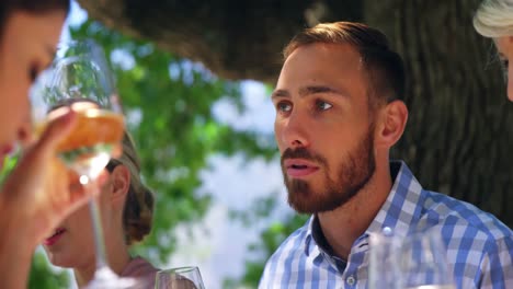 Friends-interacting-with-each-other-at-restaurant