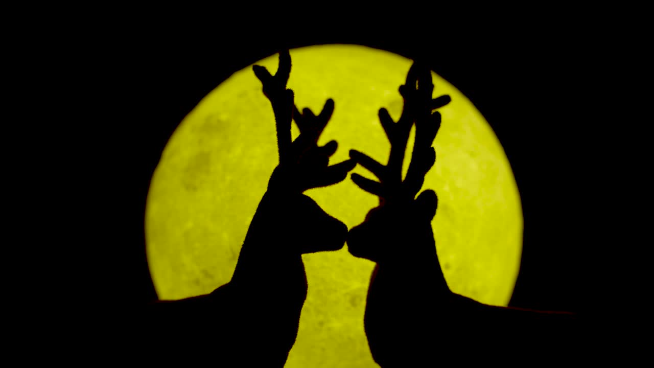 Reindeer love at yellow moon, animal couple kissing - Concept of Valentine, Christmas, Santa Claus