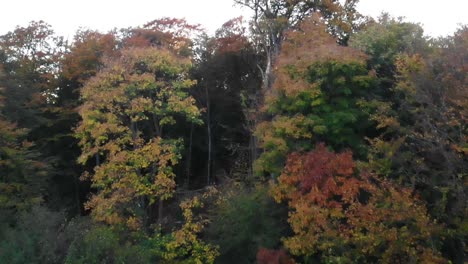 Luftaufnahme-Des-Sonnenlichts,-Das-Durch-Wunderschöne-Bäume-Mit-Herbstfarben-In-Sealand,-Dänemark,-Hindurchgeht