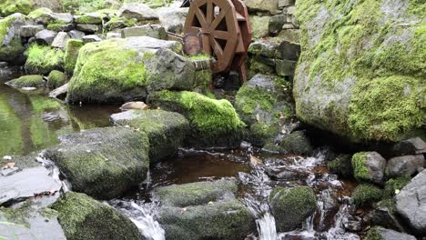 Runnig-water-in-a-forest-in-Hommersåk,-Norway