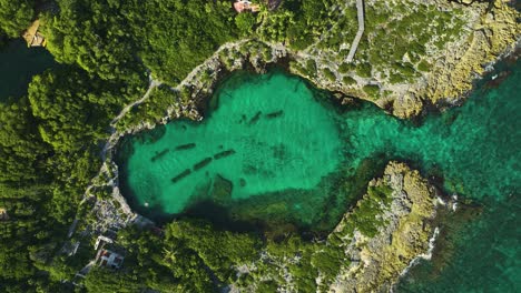 Aerial-view-above-the-Casa-Cenote-in-sunny-Xpu-Ha,-Mexico---cenital,-drone-shot