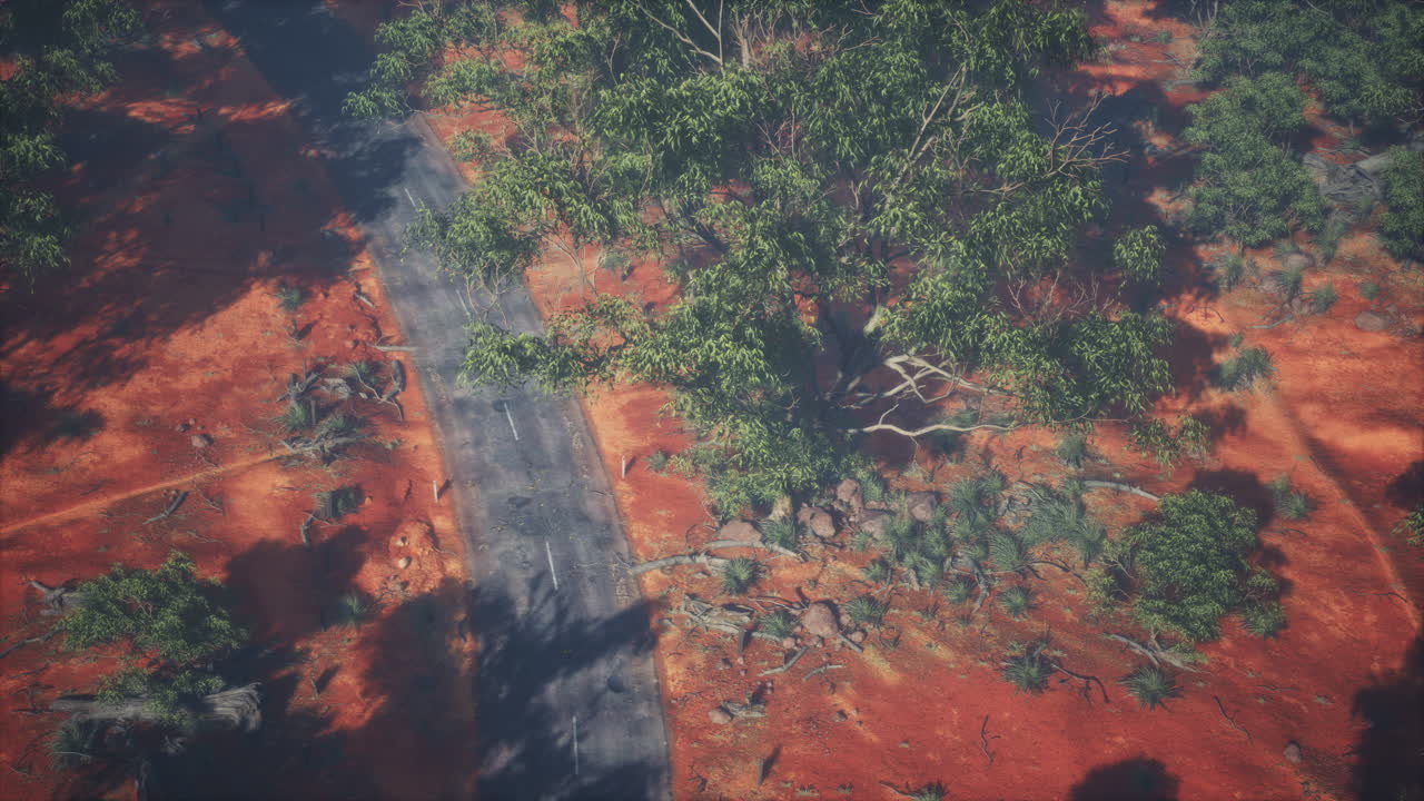 드론  ⁇  에어뷰 또는 오래된 숲의 도로