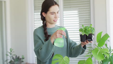 happy caucasian woman watering plants of basil with sprinkler