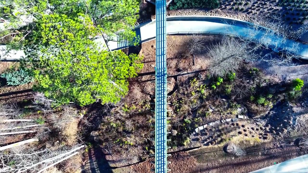 Top down view of pedestrian footbridge crossing over walking path in Atlanta Georgia park with shadows of trees on dry ground during bright sunny morning in suburban neighborhood. flyover.