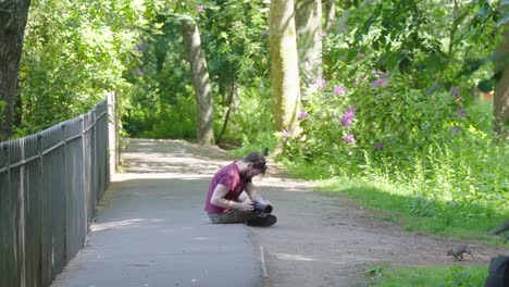 Male-photographer-trying-to-capture-a-squirrel-as-it-runs-away,-slow-mo