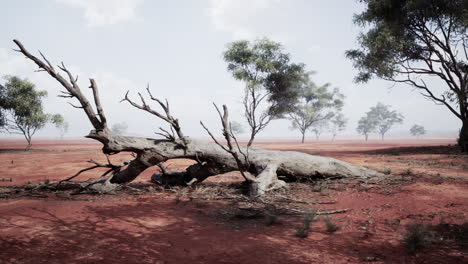 árbol muerto en un paisaje desértico
